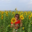 ���� ������, �������� - ��������� 7 ������� 2018 � ������ ������ ��������