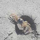 ���� �������, ���� - ��������� 26 ������� 2018 � ������ ����� ������� 2018�