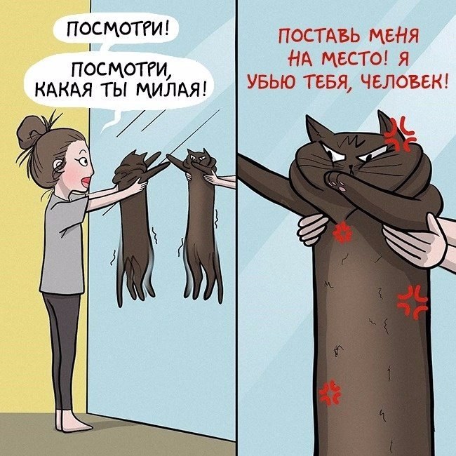      -  ,    Murrz,   ... - 9
