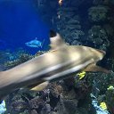 ���� ��������, ������, 37 ��� - ��������� 23 ������� 2018 � ������ ������ ��������