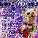 ���� ��������, ������, 61 ��� - ��������� 24 ���� 2018 � ������ ���� ����������