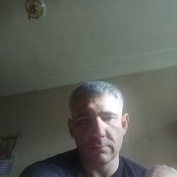 ������, ������, 50 ���