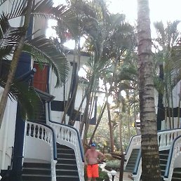 ���������, ��������