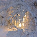 ���� ���������, ����� - ��������� 24 ������� 2018 � ������ ������ ��������