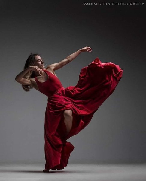   ,   .: Vadim Stein - 4