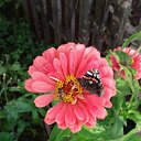 ���� �����, �����, 55 ��� - ��������� 13 ������� 2018 � ������ ���� ����������