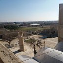  , , 59  -  28  2018   ,  2018