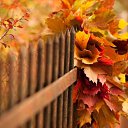 ���� �������, ������� �������� - ��������� 8 �������� 2018 � ������ �������