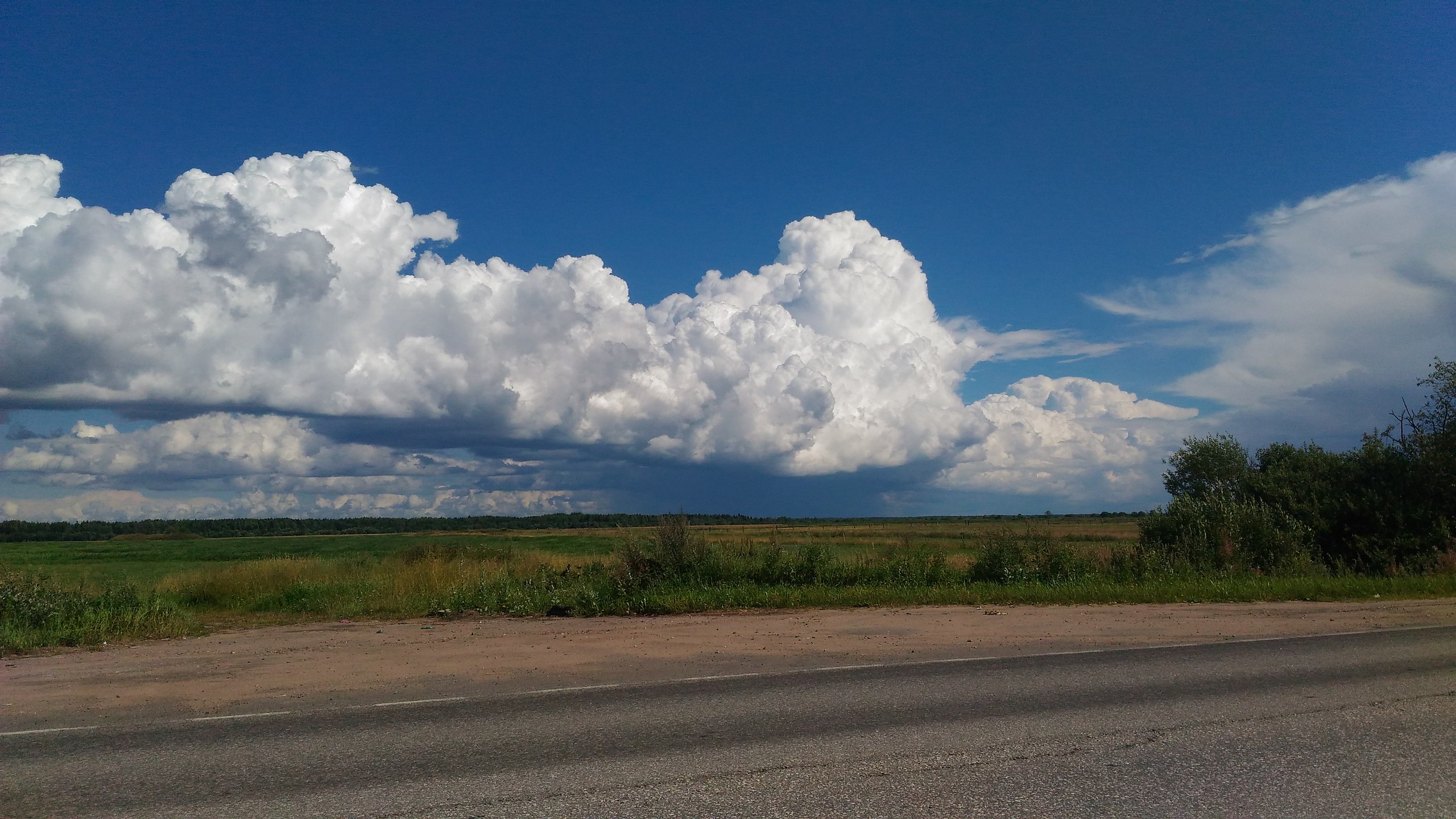  - 23  2018  16:51 - 2