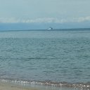 ���� Svetlana, ������, 45 ��� - ��������� 14 ������� 2018