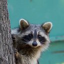 ���� ��������, ��������� - ��������� 18 ������ 2018 � ������ ���� ����������