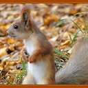 ���� ������, ������������ - ��������� 27 ����� 2019 � ������ ��������