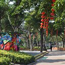 ���� Sergey, ������ - ��������� 14 ������� 2019 � ������ ������ ��������