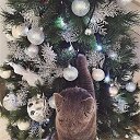���� ���������, ������ �������� - ��������� 22 ������� 2018 � ������ ������ ��������