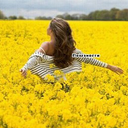 ���� �����, ������ - ��������� 26 ������� 2018