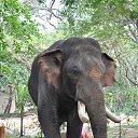 ���� Aru, �������� - ��������� 16 ������� 2018 � ������ �GURUVAYUR, KERALA, INDIA�