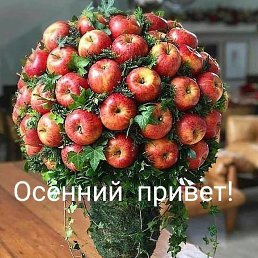 ���� ��������, ���������� �����, 51 ��� - ��������� 16 ������� 2018