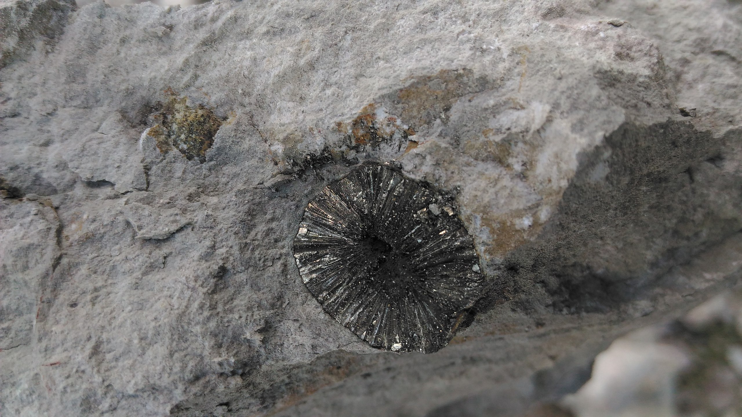  - 23  2018  16:51 - 9