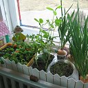 ��� ������ ��������. �� ����������� �� ������� ���� ����������