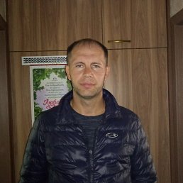 �����, �����������, 49 ���