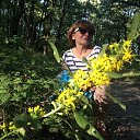 ���� ������, ���������, 69 ��� - ��������� 29 �������� 2018 � ������ ������ ��������