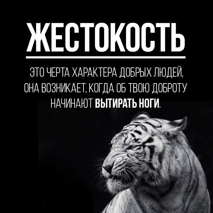  ****** - 16  2018  17:35