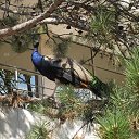 ���� �����, ������, 64 ���� - ��������� 20 ������� 2018 � ������ ���������� 2018�