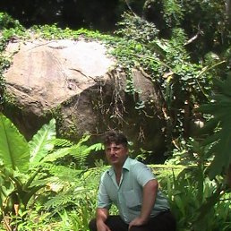 ���� ��������, �����������, 55 ��� - ��������� 18 ����� 2019