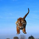 ���� Tolik, ���������, 72 ���� - ��������� 31 ������ 2019 � ������ ���� ����������