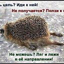 ���� ���������, ������, 61 ��� - ��������� 14 ������� 2018 � ������ ������ ��������