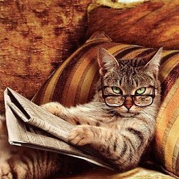 ���� �����, ���������, 35 ��� - ��������� 21 ������ 2019