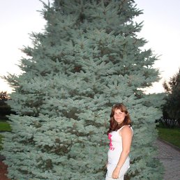 ���������, ������, 28 ���