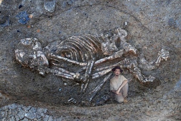 ��� ������ ��� - 4 ����� 2019 � 22:24 - 4