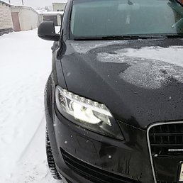 �������, �����, 54 ����