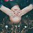 ���� Elizaveta, ������, 23 ���� - ��������� 1 �������� 2018