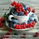 ���� �����, ������, 47 ��� - ��������� 17 ������ 2018 � ������ ������ ��������