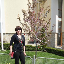 ���� ����, ���������, 48 ��� - ��������� 23 ����� 2019