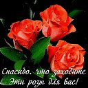 ���� �����, ������, 41 ��� - ��������� 31 ������� 2018 � ������ ������ ��������