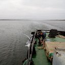 ���� ������, �����������, 41 ��� - ��������� 14 ������� 2018 � ������ ���� ����������