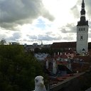 old Tallin �� ������� ���� ����������