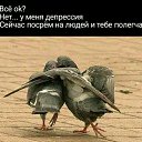  ,  -  16  2018    