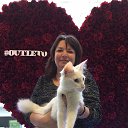 ���� Cola, �����-���������, 44 ���� - ��������� 15 ������� 2018 � ������ ������ ��������