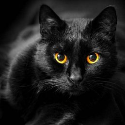 ���� �������, ����� - ��������� 27 ���� 2018