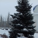 ���� ������, �������� - ��������� 26 ������� 2018 � ������ ���� ����������