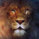 ���� ������, �������, 47 ��� - ��������� 20 ���� 2018 � ������ ���� ����������