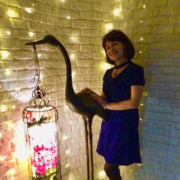 ��������, �����������