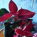 ���� �������, ������� �����, 50 ��� - ��������� 30 ������� 2018 � ������ ���� ����������