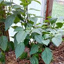 ���� ���������, ������ - ��������� 24 ������� 2018 � ������ ���� ����������