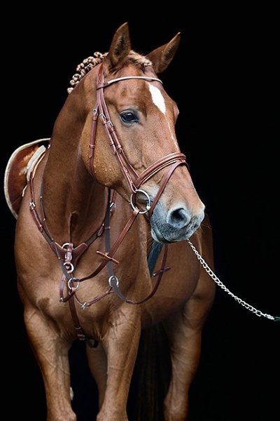  -   ! - 25  2018  16:36