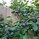  ,  -  10  2018       .